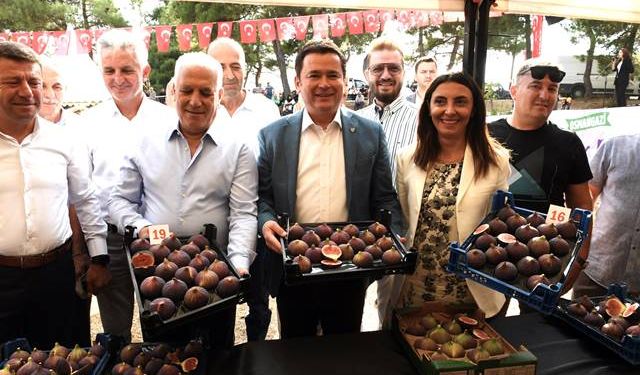 Siyah incir Bursa’nın gözbebeği oldu