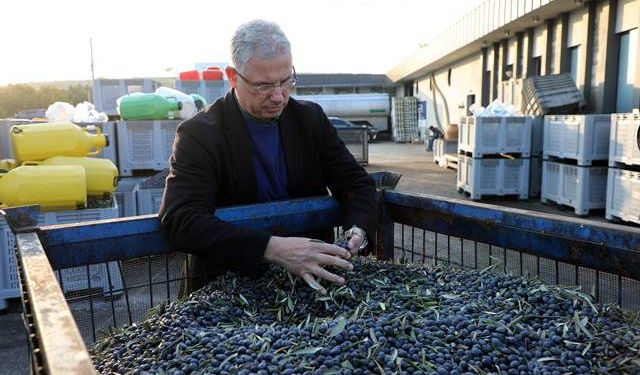 Mudanya'nın Zeytin Lezzeti Markalaşıyor