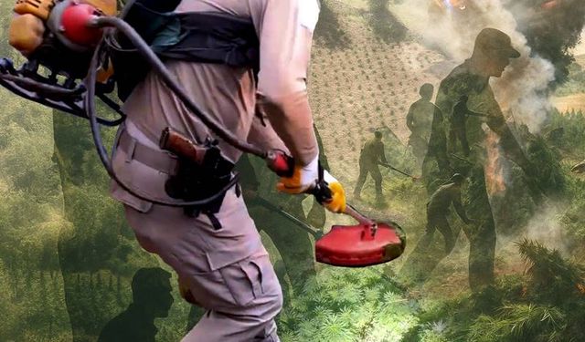 Diyarbakır'da 70 Ton Esrar Hammaddesi Ele Geçirildi