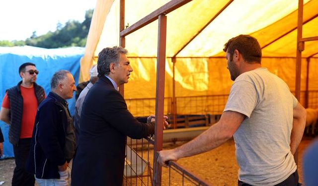 Gemlik Kurban Pazarı Muratoba'da Açıldı
