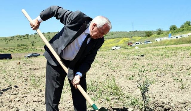 Nilüfer Belediyesi Konaklı’ya 800 zeytin fidanı dikti