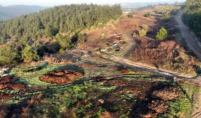 Mudanya'da Dev Güneş Santrali İçin Geri Sayım!