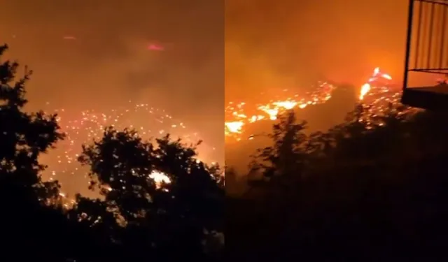 Alanya yangınında 10 ev ile 2 araç kül oldu.