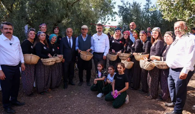 Gemlik-Orhangazi Zeytin Festivali başladı.
