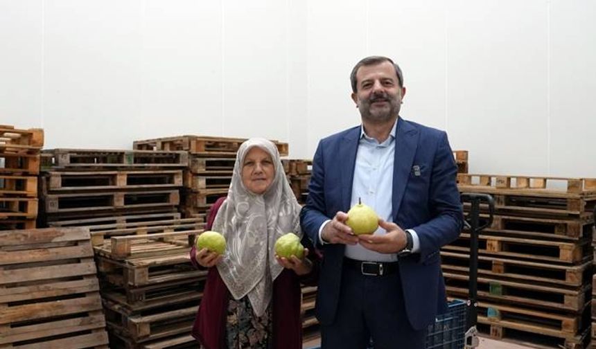 Hayriye Teyze, başarıları ile herkesi gururlandırdı