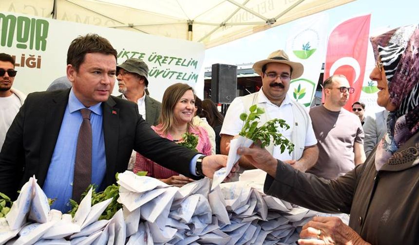 Osmangazi’de, Domates ve biber fidesi dağıtıldı