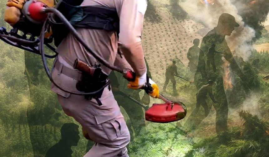 Diyarbakır'da 70 Ton Esrar Hammaddesi Ele Geçirildi