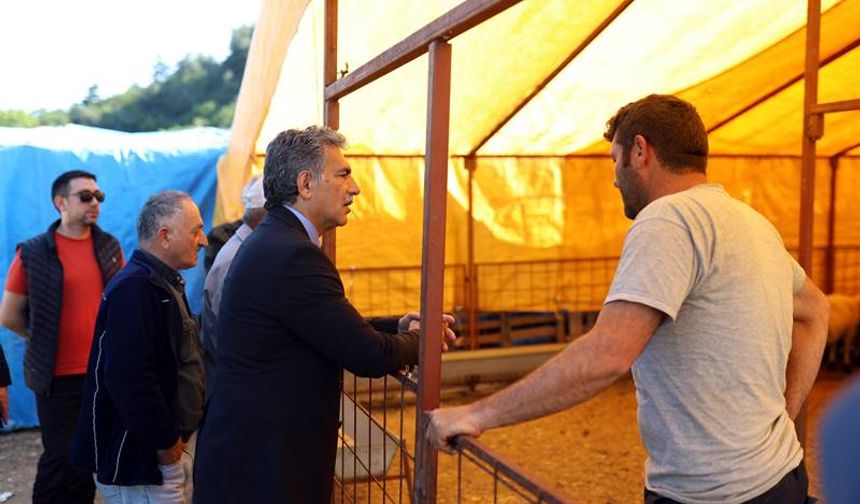 Gemlik Kurban Pazarı Muratoba'da Açıldı