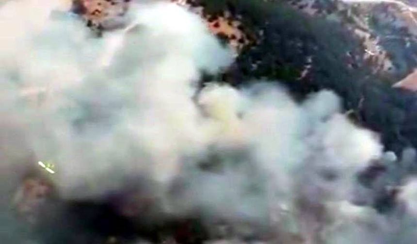 Orman Yangınlarıyla İlgili  7 Şüpheli Şahıs Gözaltına Alındı