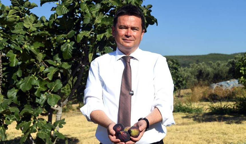 Başkan Erkan Aydın, “Siyah incirimizi mutlaka korumalıyız.