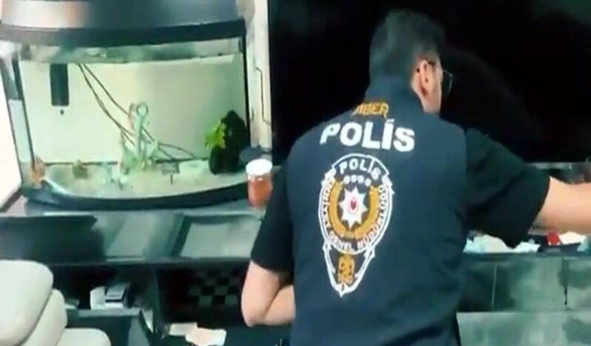 Siber Suçlarla Mücadele kapsamında  170 şüpheli yakalandı