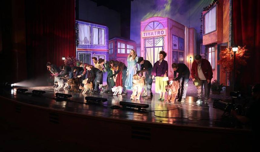 Karagöz Festivali Başladı, 'Şebo Müzikali Kahkahaya Boğdu