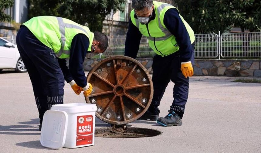 17 İlçede Dev Haşere ve Sinek Mücadelesi Başladı!
