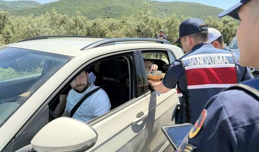 Sürücülere Ceza Yerine Çikolata