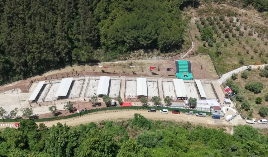 Sahipsiz hayvanlara modern yaşam alanı