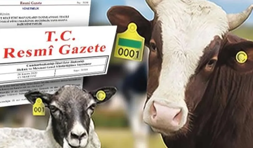 Hayvan küpeleme sisteminde yeni dönem