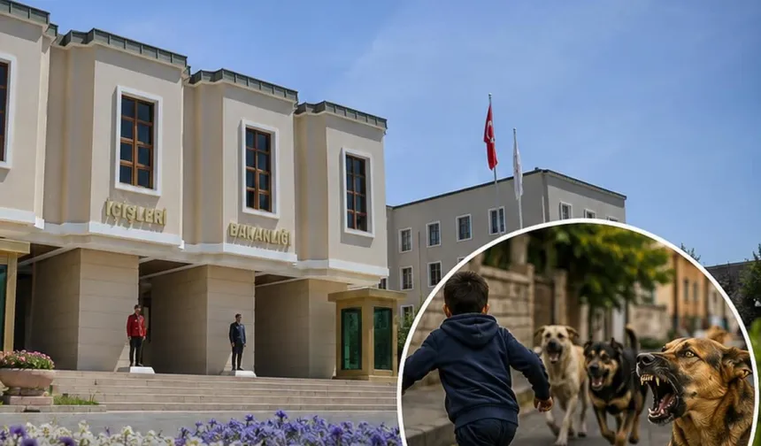 Köpek saldırıları sonrası 3 belediye başkanı hakkında işlem.
