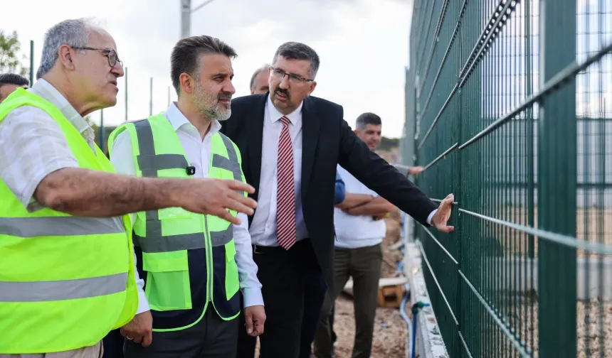 Sokak hayvanları için doğal yaşam alanı