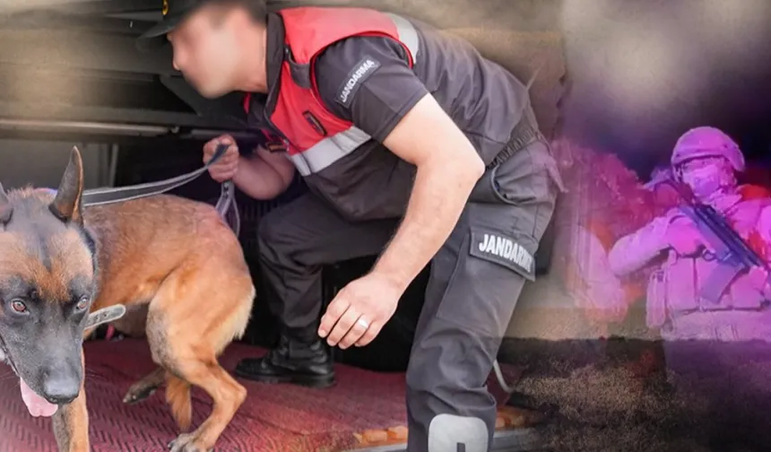 Jandarma'dan 28 ilde yasaklı madde operasyonu