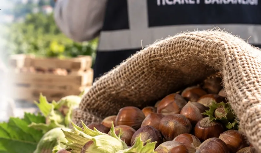 Fındık piyasasında mercek büyütüldü! Ordu ve Giresun'da müfettişler sahada