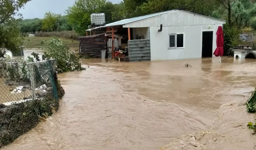 Mahsur kalan adını MAK kurtardı