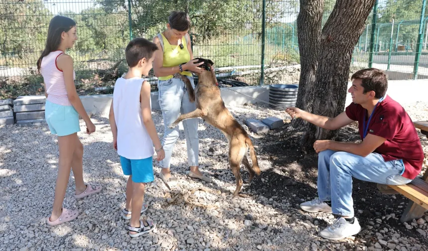 Nilüfer'de 'Umut' yeni yuvaya kavuştu